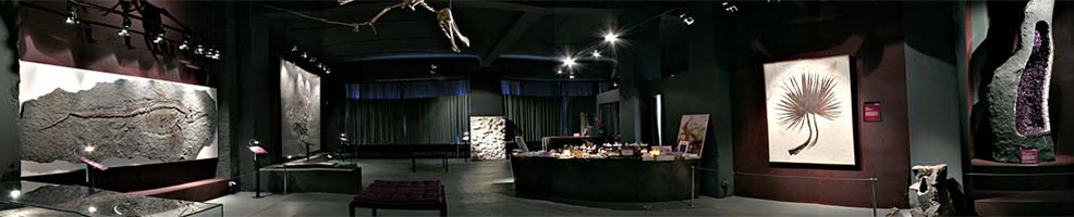Steinzeiten-Museum, Rödingsmarkt